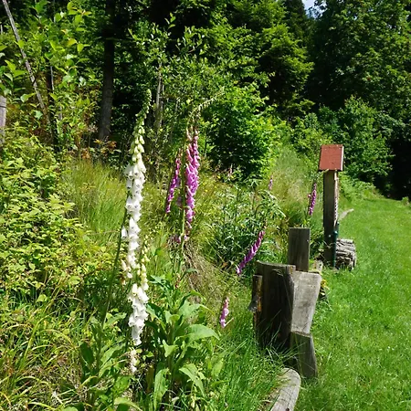 Appartement S'heisl Em Woid *